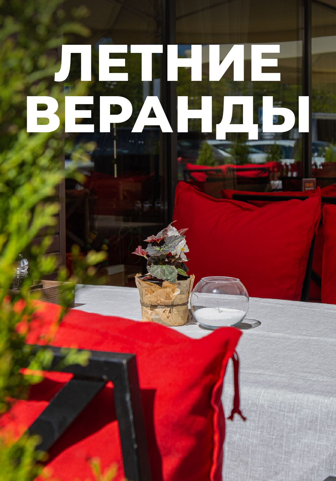 Добро пожаловать в лето с Нияма!