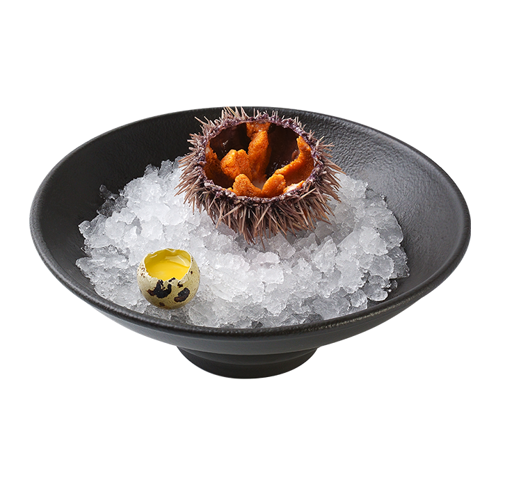 Ежи морские 3 шт