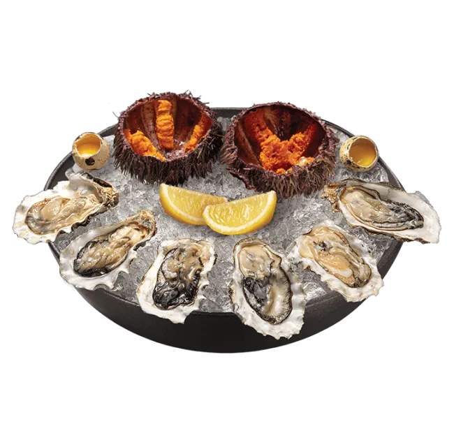 Морской сет